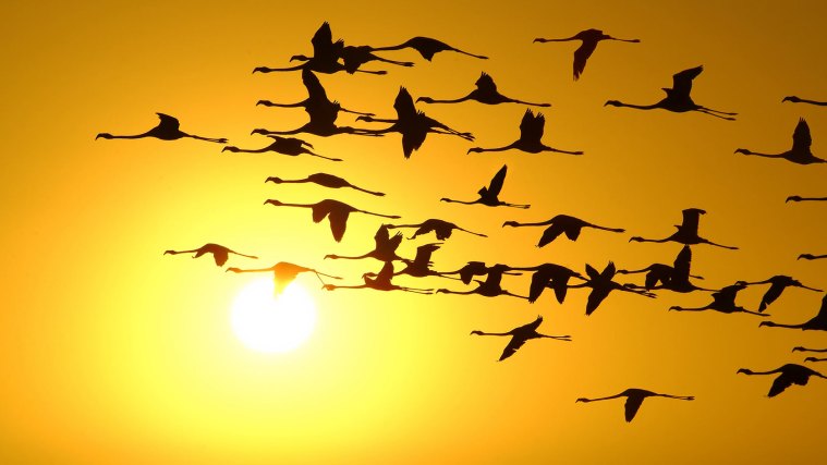 lets-travel-to-namibia-africa-desert-with-Roberto-Sysa-Moiola-featured