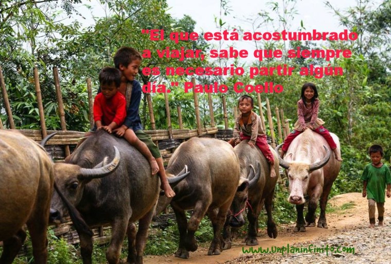 10513442_671972886218859_9208796519488483860_n