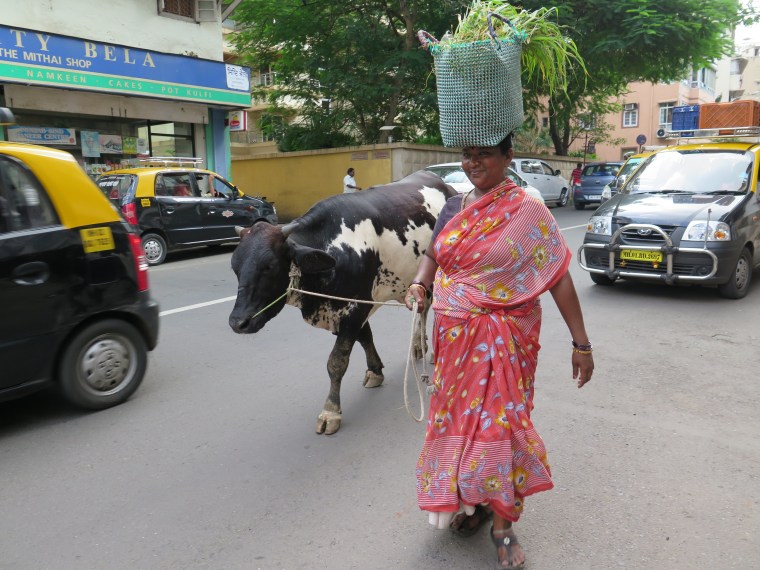 Tradición y modernidad