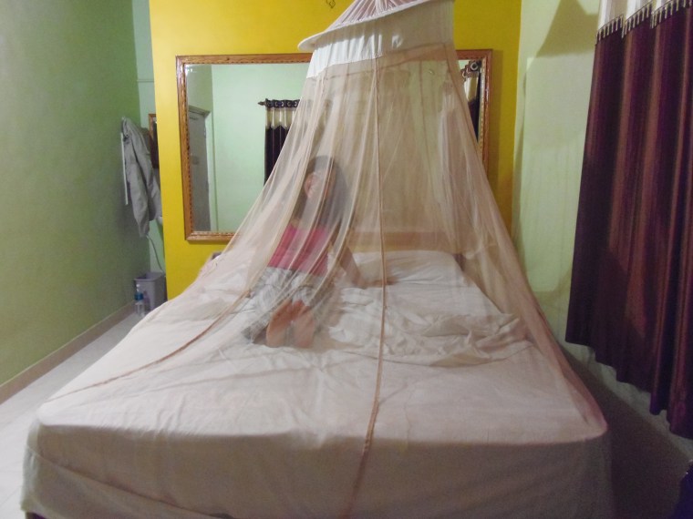 Durmiendo dentro de una mosquitera