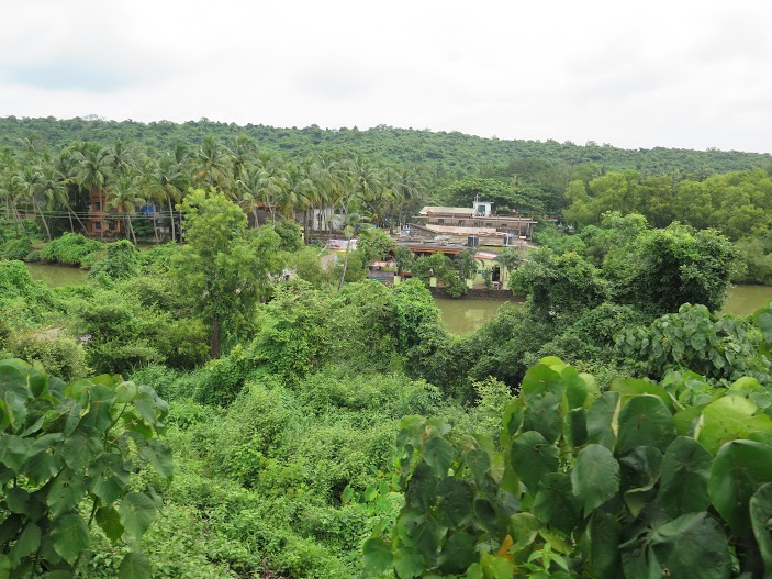El paisaje de Goa/ Foto Mónica