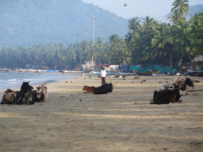 Canacona, Goa / Foto Mónica