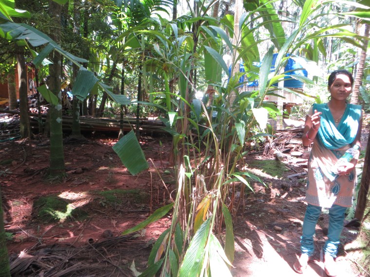 Nuestra guía dándonos explicaciones