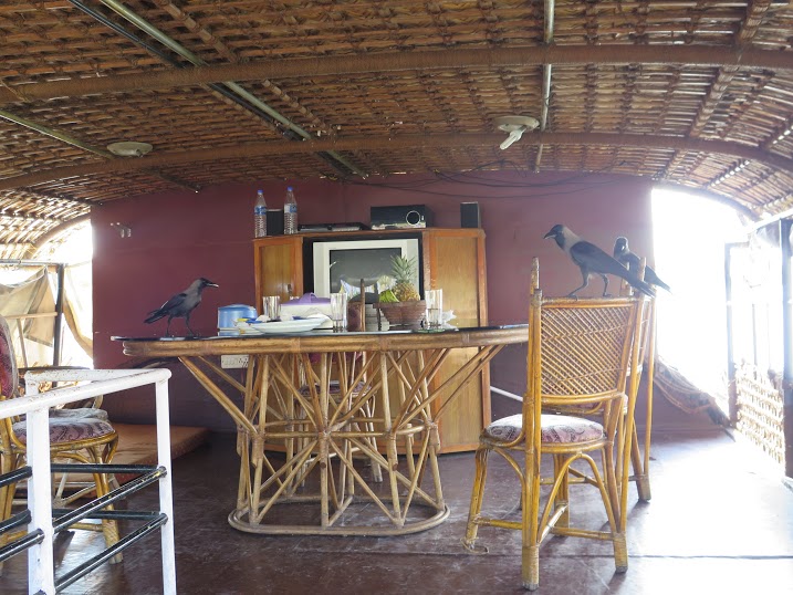 Los cuervos se comiero el resto