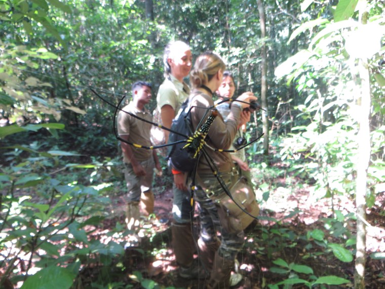 Otras cosas que te puedes encontrar ;)