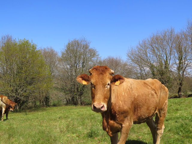 Lo que te vas encontrando por el camino :)