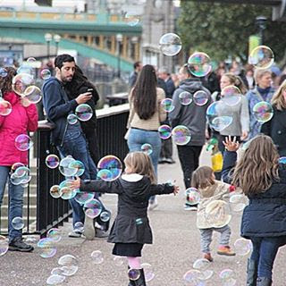 11374387_527274364097920_1048067266_n