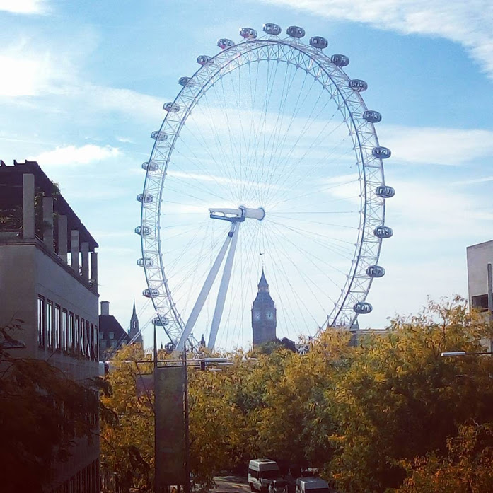 11856846_101146460242521_1392925033_n