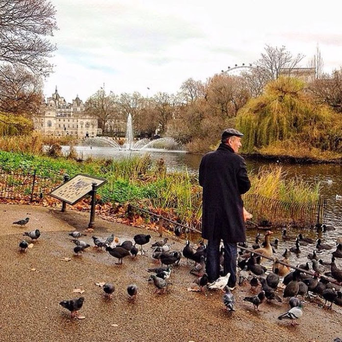 11930846_166536170367499_1259915840_n