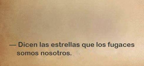 13614916_1047203565329168_1271218680373097314_n