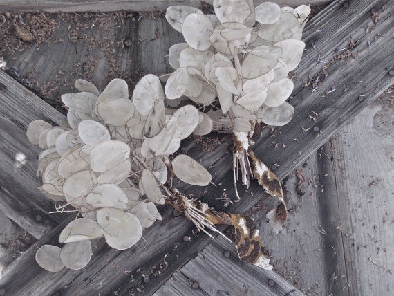 5d743ecbbdb2bf087fa4a80ec08e8ccd