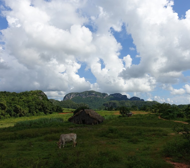 IMG_20171027_111332_932