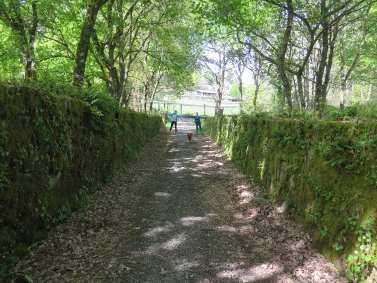 Camiño as Adegas, O penedo de Partovia