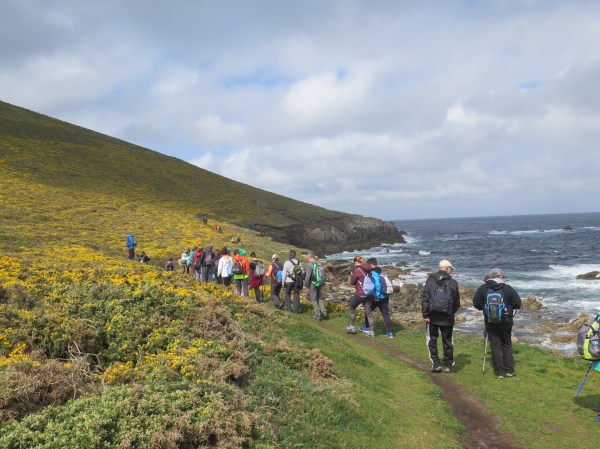 0505-2019-03095402564989693356