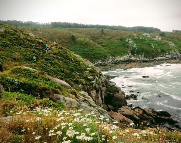 IMG_20190612_152119_862