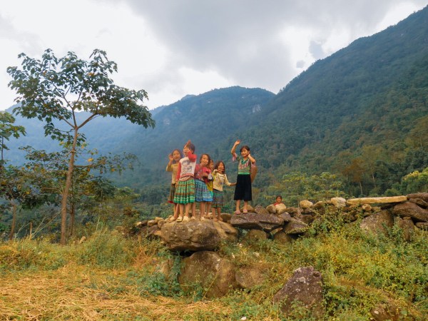 3110-2019-125460657780392