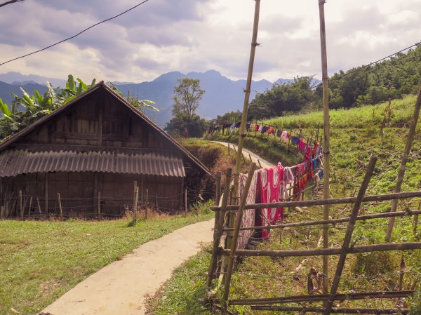 3110-2019-125698557804183