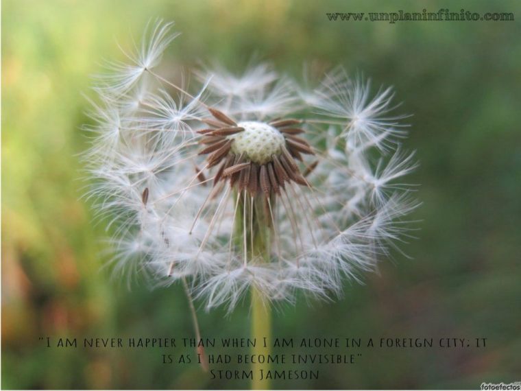 5020629296250198497_