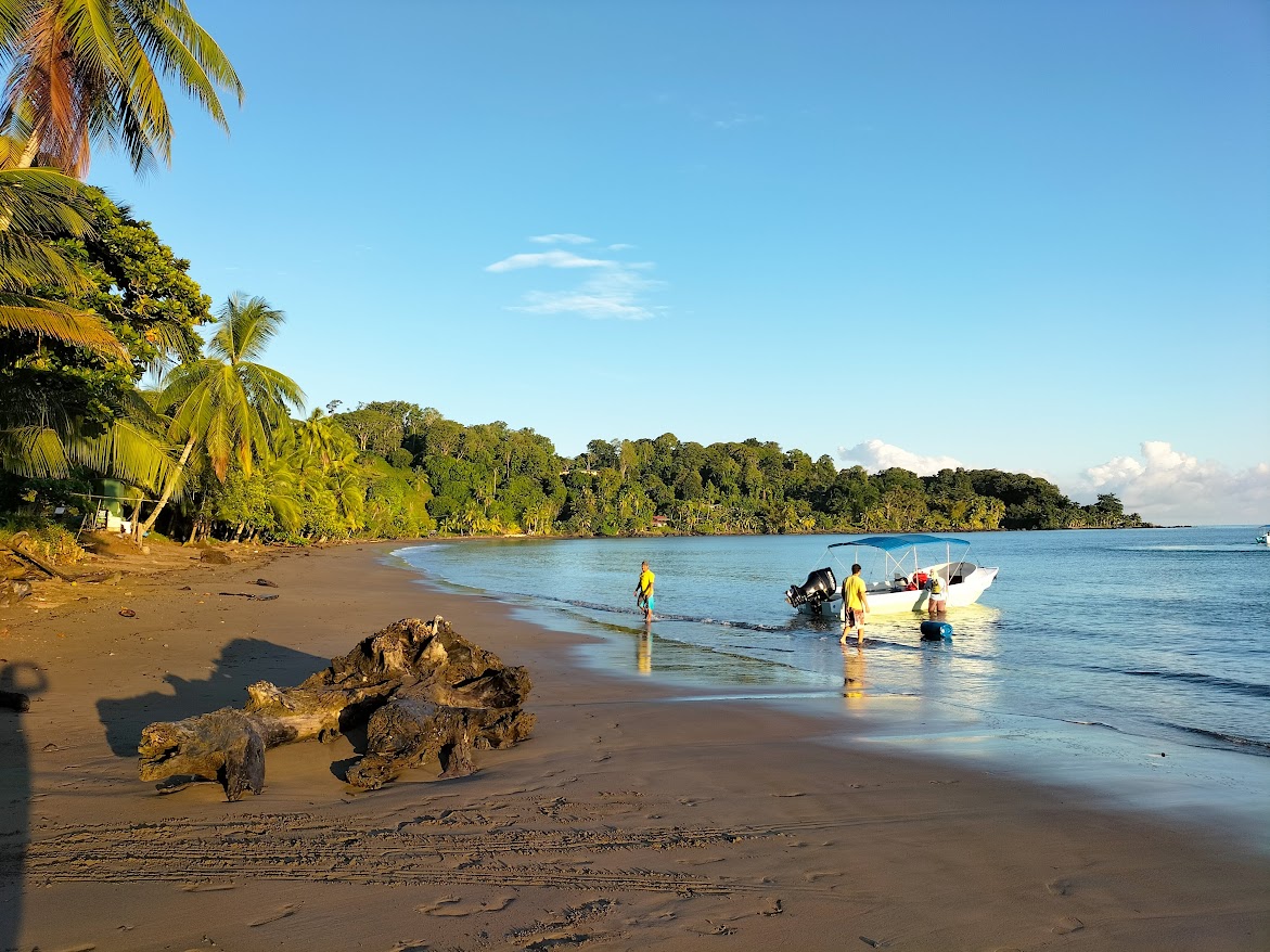 Understanding Drake's Views on Relationships and Love | TikTok, image size:1171x878